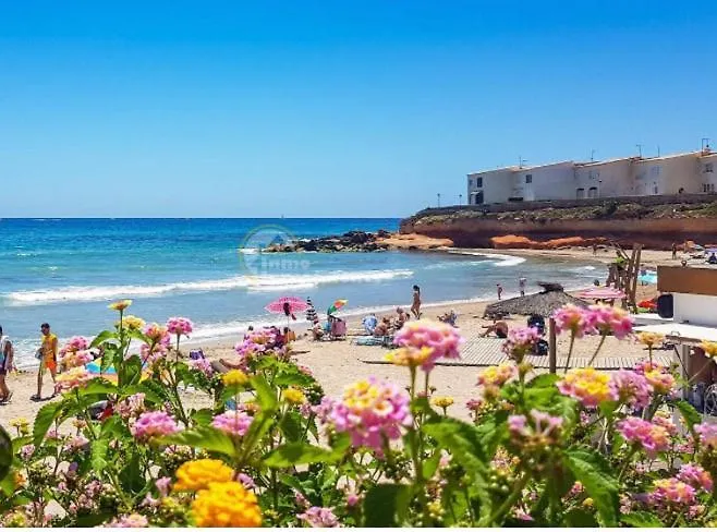 Spanien Holliday 펜션 *